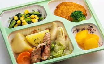 MFS カロリー制限食B