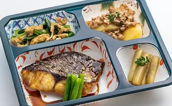 MFS タンパク制限食A