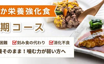 MFS やわらか栄養強化食